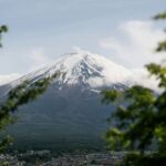 Pexels Elif Kaya 309493762 32859501