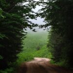 Pexels Erhan Ustunbas 558333485 33502020