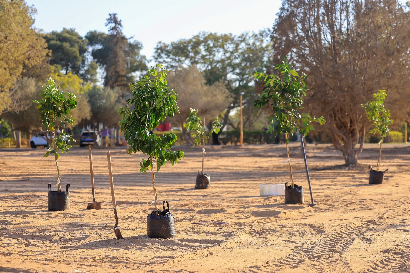 2233c6d8-e9fc-49aa-a08b-2686357f9fbe