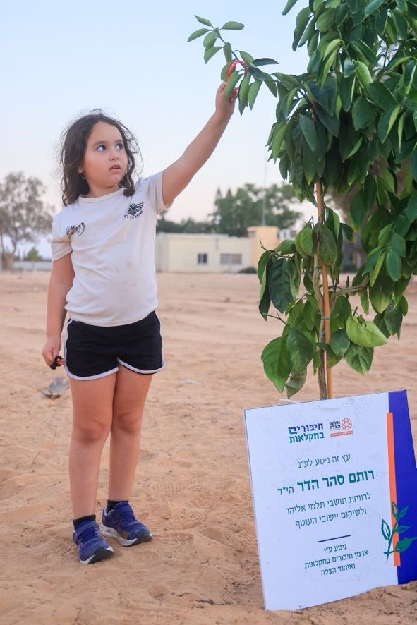 6ab50ed5-a932-440c-8f05-f4a6432ab57e