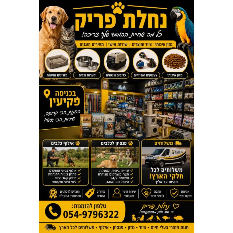עיצוב ללא שם (3)